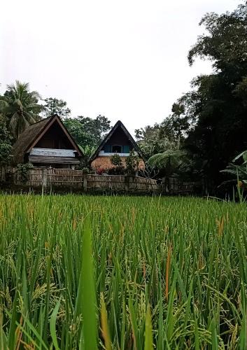 Tetebatu House | D'Bulan bungalows and kafe