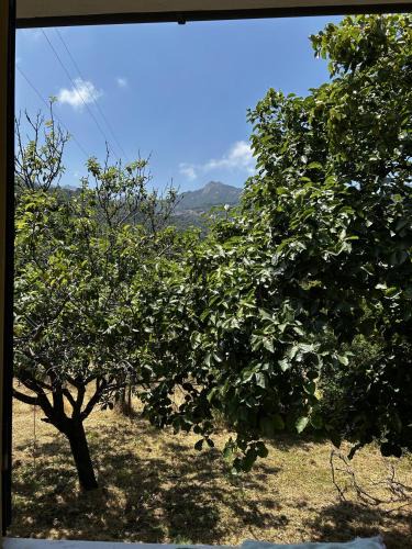 Marciana House | Da Davide