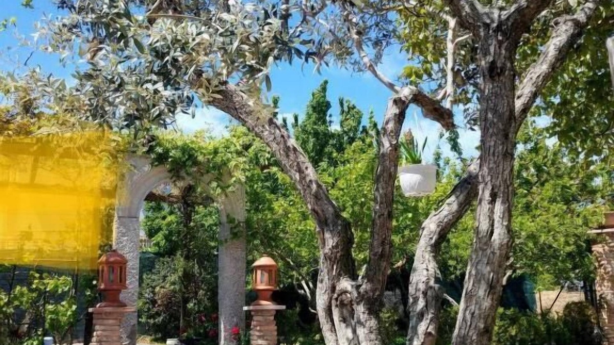 Matrice Bed & Breakfast | da Nicolo