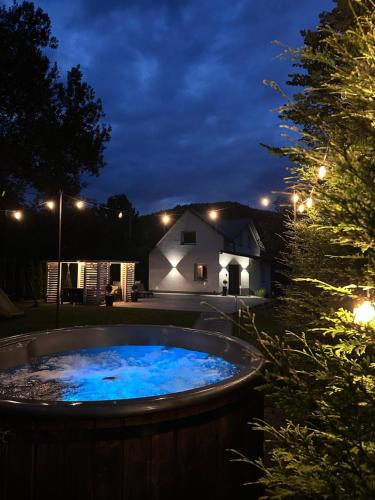 Jelesnia House | Dablin 9