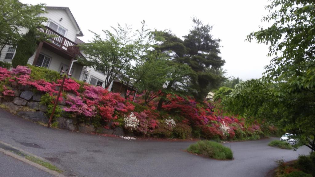 Boryeong House | Daecheon Ocean Hill Pension
