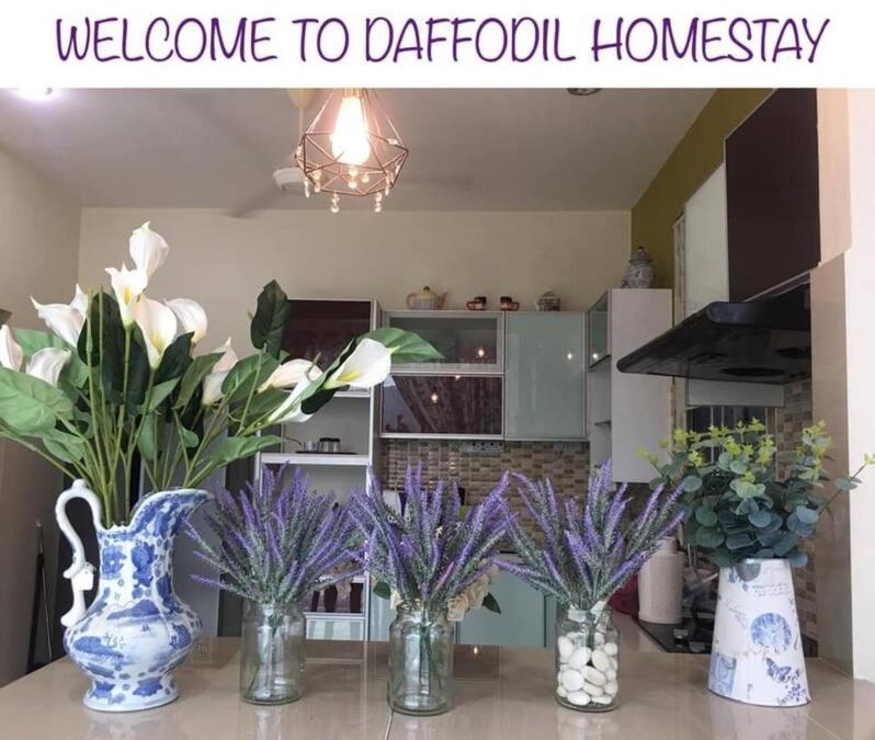 Kangar House | Daffodil Homestay in Perlis