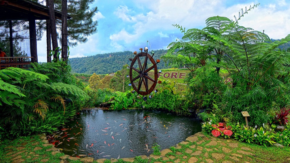 Burgos Resort | Dahilayan Forest Park Resort