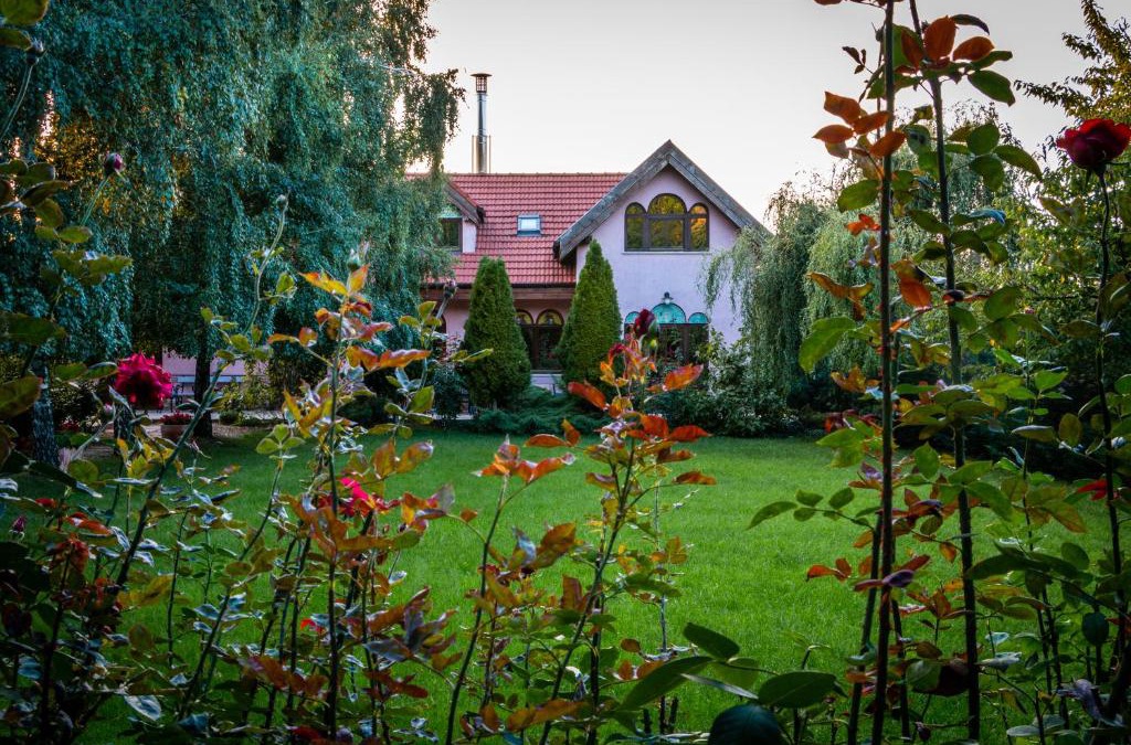 Ghioroc Bed & Breakfast | Daiconi Boutique House