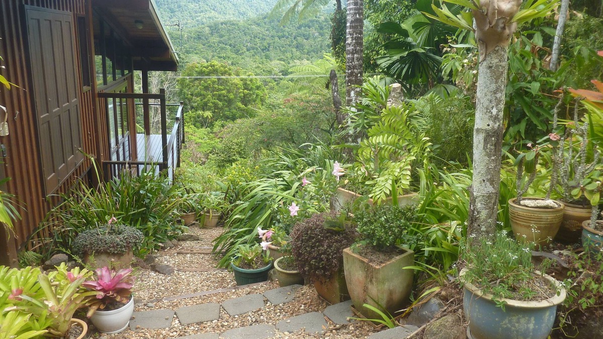 Diwan House | Daintree Holiday Homes - The Folly - Nature Retreat Daintree