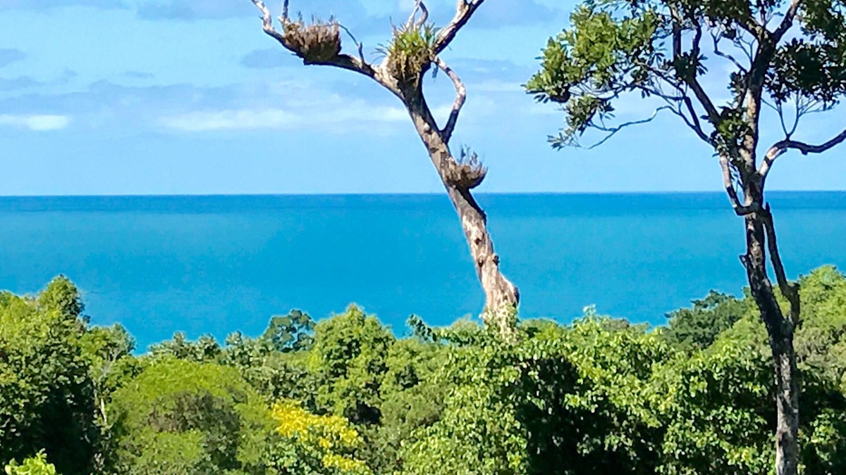 Cow Bay House | Daintree Magic Vacation Home