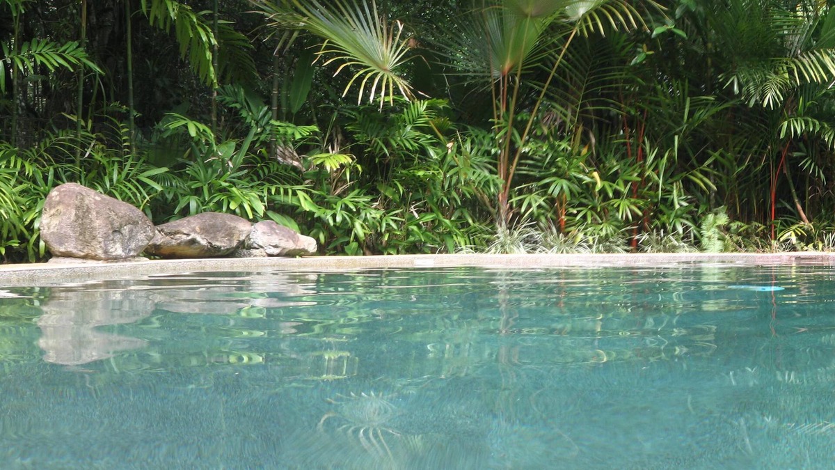 Cow Bay Hotel | Daintree Rainforest Retreat