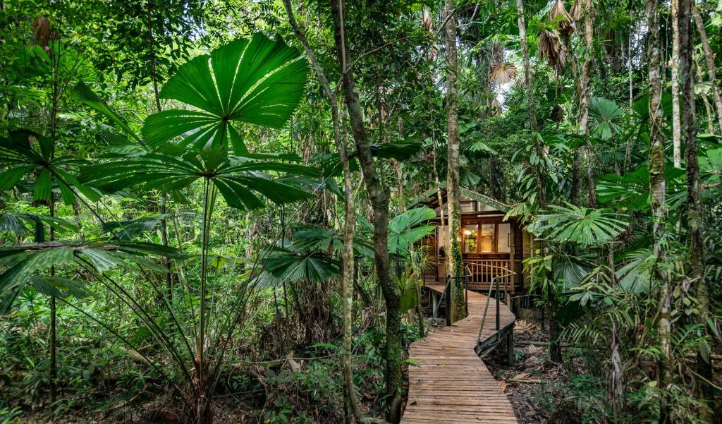 Diwan Resort | Daintree Wilderness Lodge