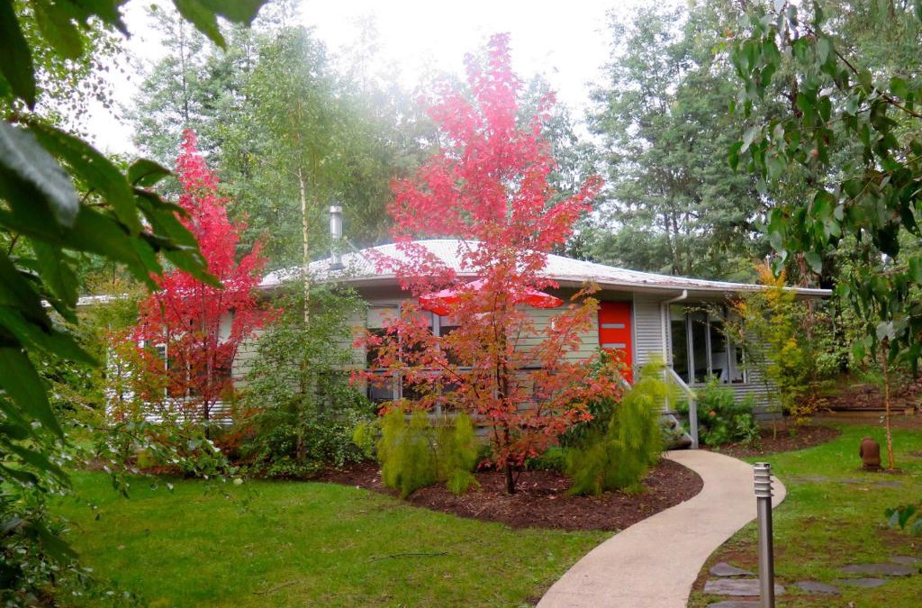 Marysville Cabin | Dalrymples Guest Cottages