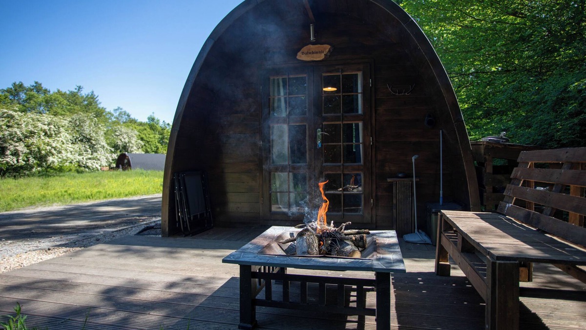 Dunfermline Cabin | Dalwhinnie, Off-Grid Cabin in Woods: Dalwhinnie. Pet Friendly!