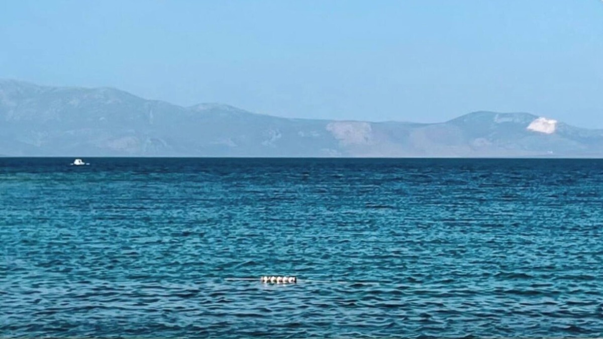 Dalyan Mahallesi Apartment | Dalyan Residence & Suites