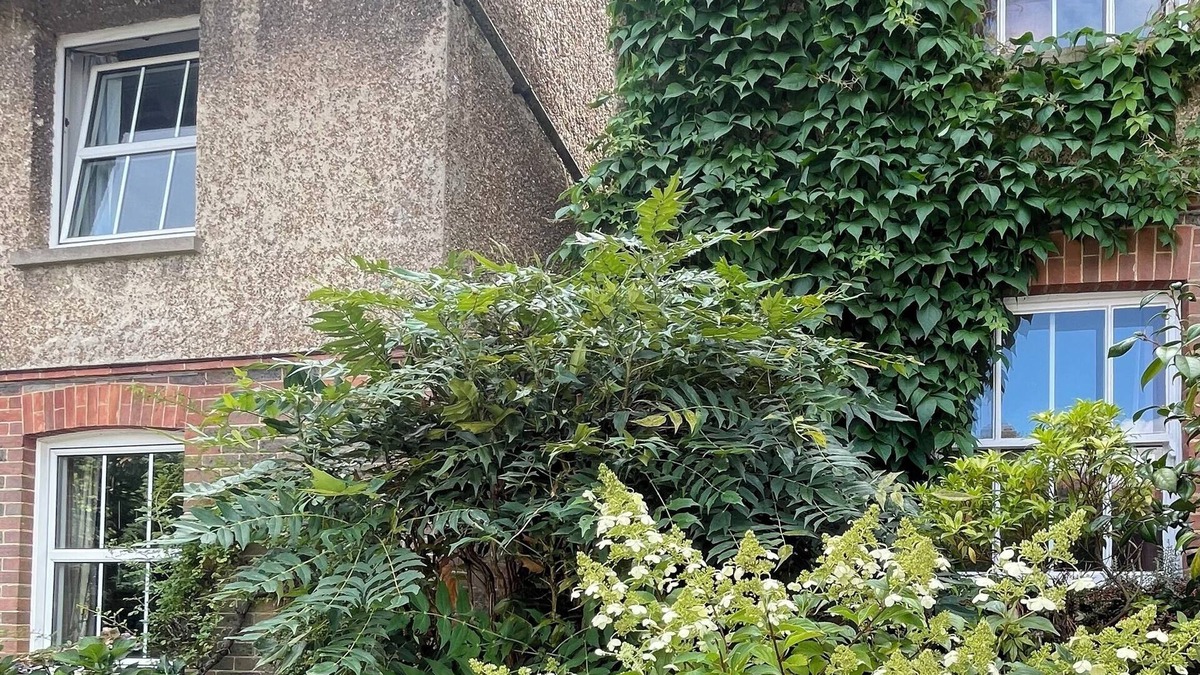 Forest Row Cottage | Damson Cottage