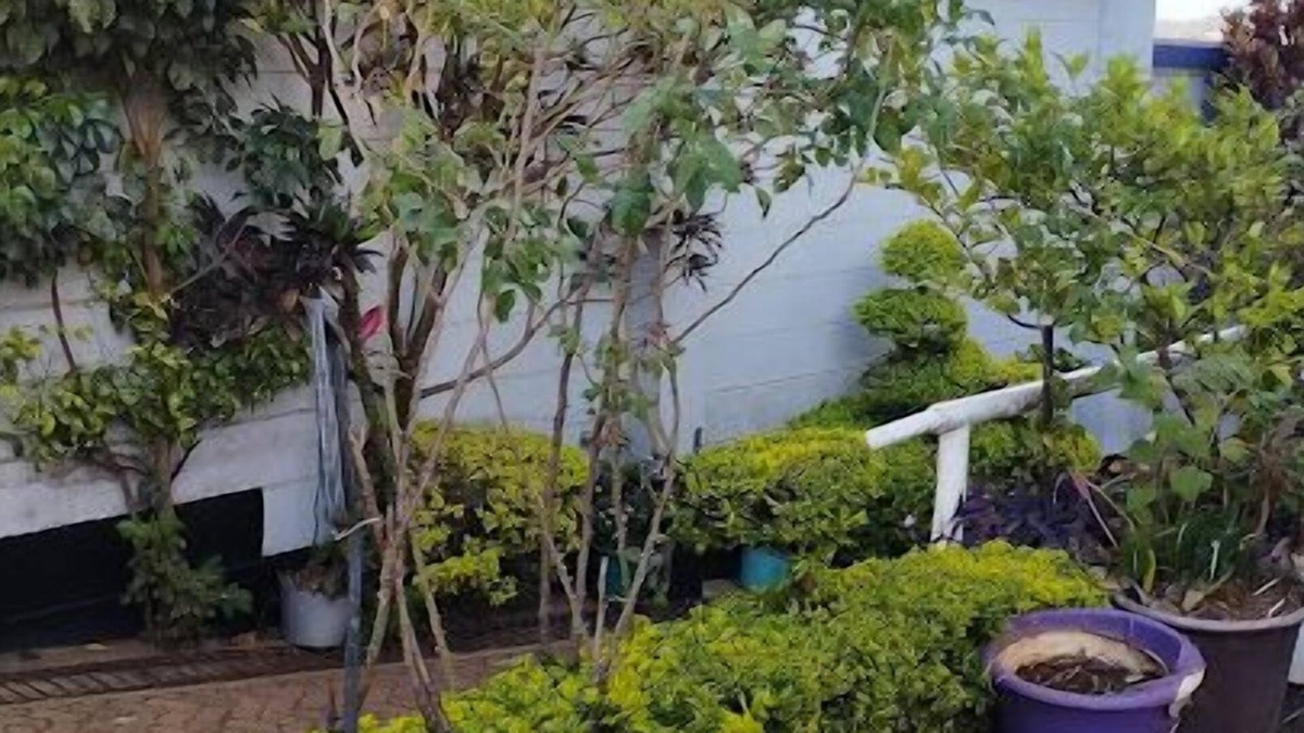 Kisii Hotel | Dan's Hotel Kisii