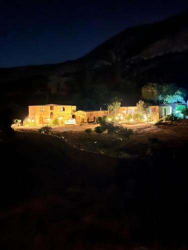 Dana Hotel | Dana horizon hotel