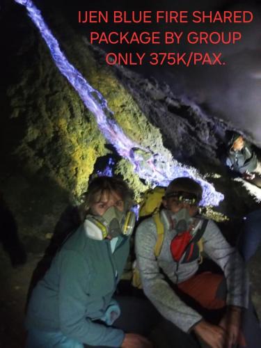 Banyuwangi House | Dannu's Homestay Ijen and Bromo Tour