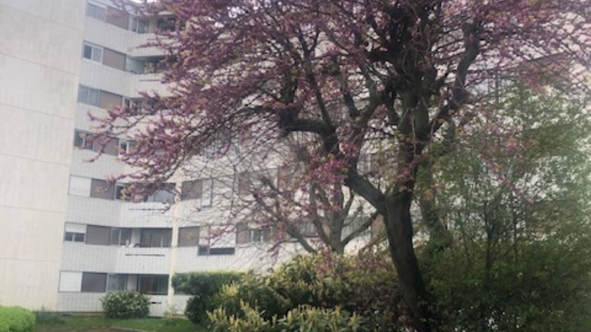 Rueil-Malmaison Apartment | Dans la Verdure, au Calme Près de Paris