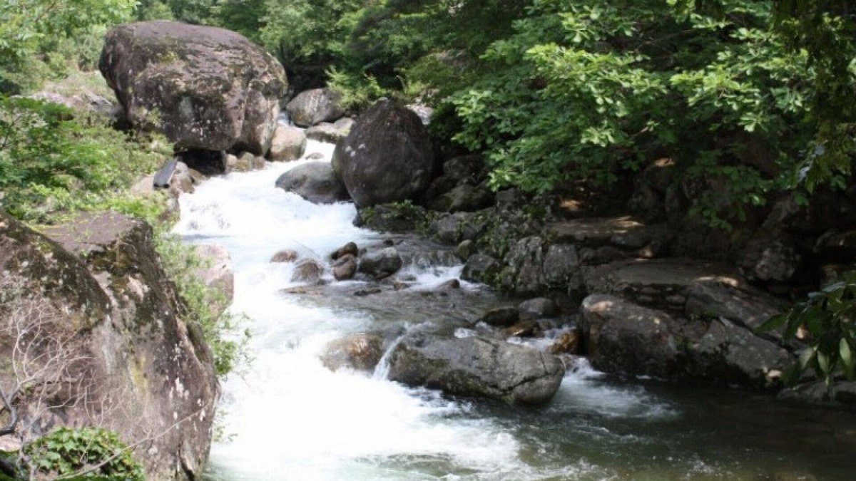 Danyang House | Danyang Blue Pension