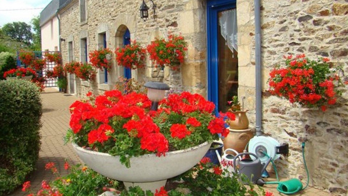 Pluvigner Bed & Breakfast | Daol Grenn - Chambres d'Hôtes