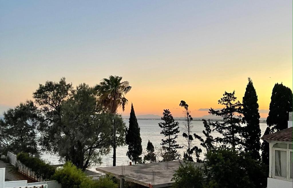 Hammamet Apartment | Dar Sheherazade