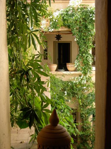 Taroudannt House | Dar Zahia