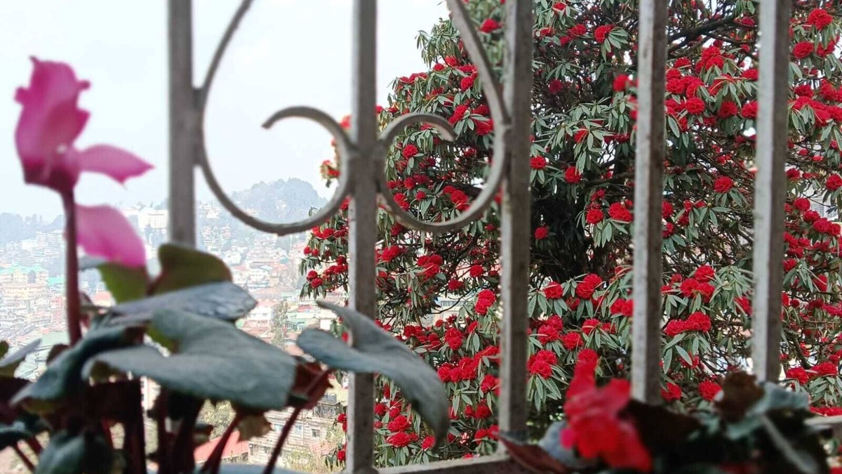 Darjeeling Apartment | Darjeeling, Adrija Luxury Homestay & Apartments