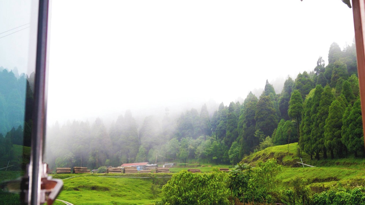 Ghoom Bed & Breakfast | Darjeeling Peaceful Home in Ghoom Pine Forest with Wine & Dine