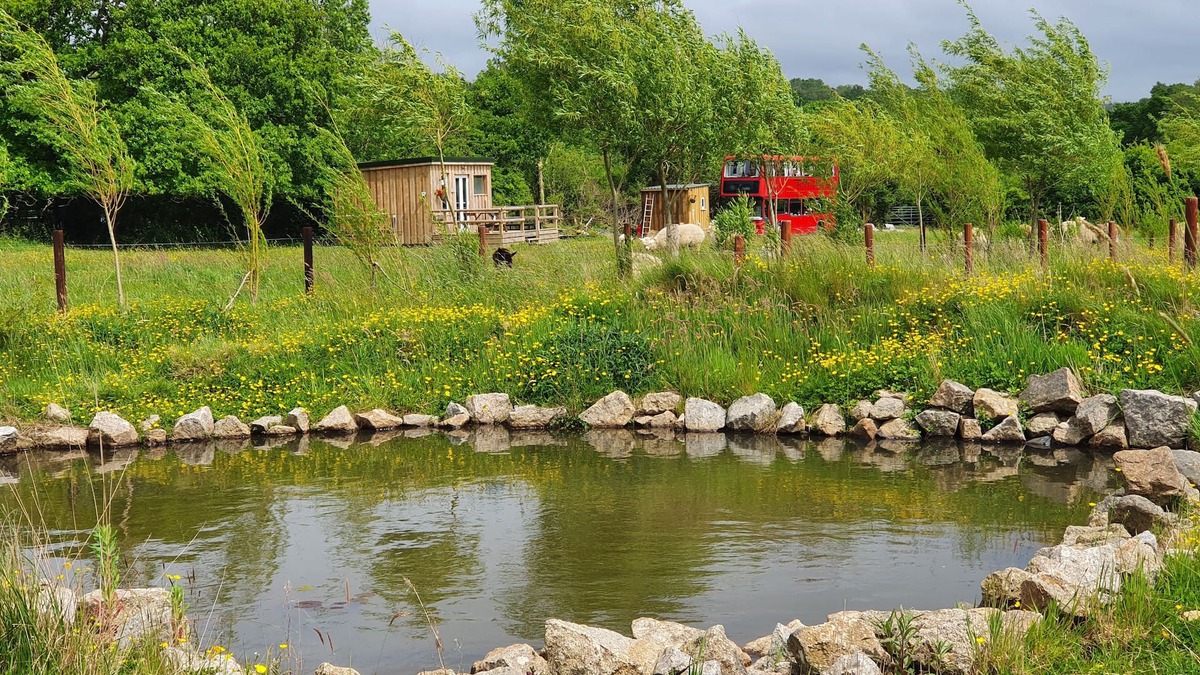Liverton Cabin | Dartmoor Reach Alpaca Farm
