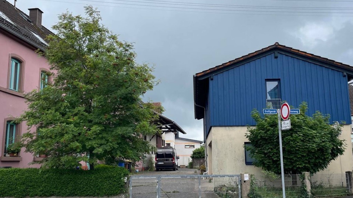 Gersbach House | Das Blaue Haus - From hay barn to vacation apartment - vacation home, shower and bath, WC