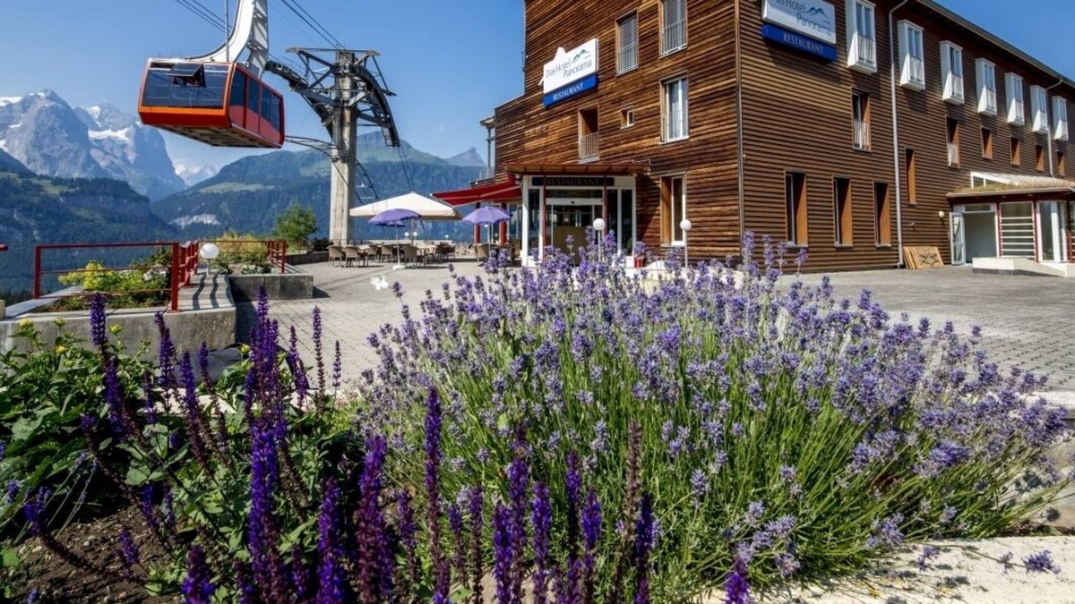Hasliberg Reuti Hotel | Das Hotel Panorama