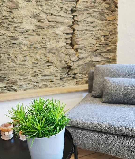 Heidenburg Apartment | Das Kirch24 - DAS Ferienhaus in Heidenburg