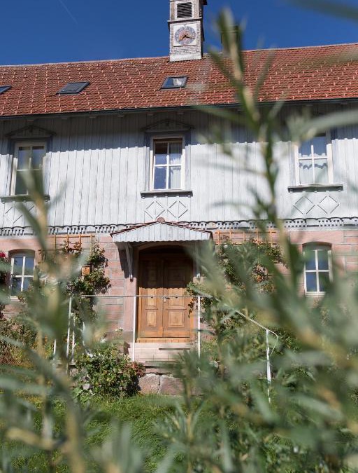 Gompelscheuer Apartment | das schulhaus