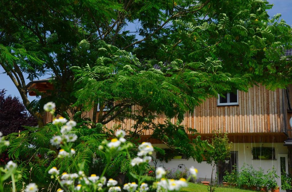 Finkenstein am Faaker See Apartment | das stille Paradies
