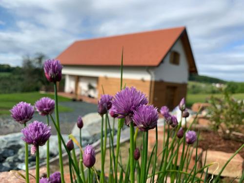 Inzenhof House | Das Weinstöckl