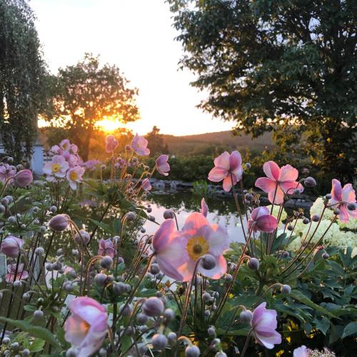 Luxembourg Ardennes Apartment | dashausderfloristin