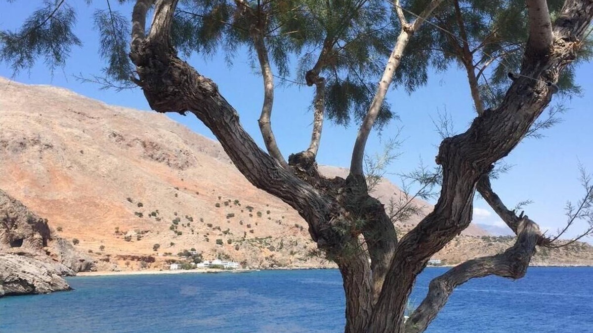 Loutro Bed & Breakfast | Daskalogiannis Hotel - Unforgetable Memories In Majestic Loutro