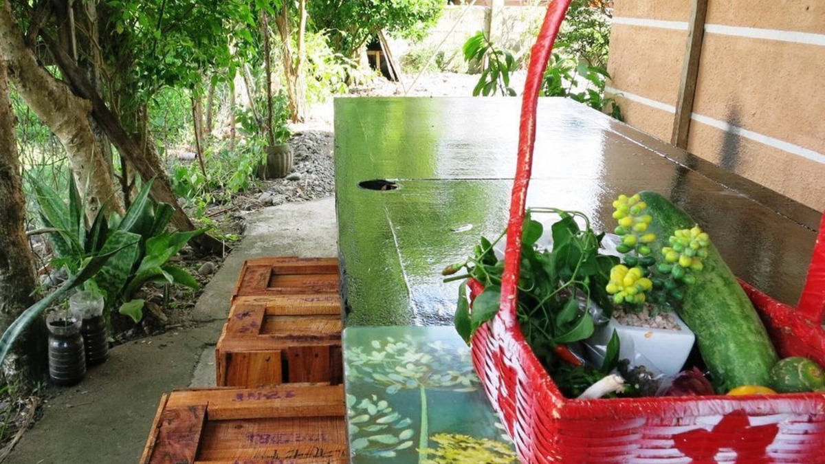 Nabunturan House | Davao de Oro Country Home | Fully-furnished | Private Homestay | Veggie Garden