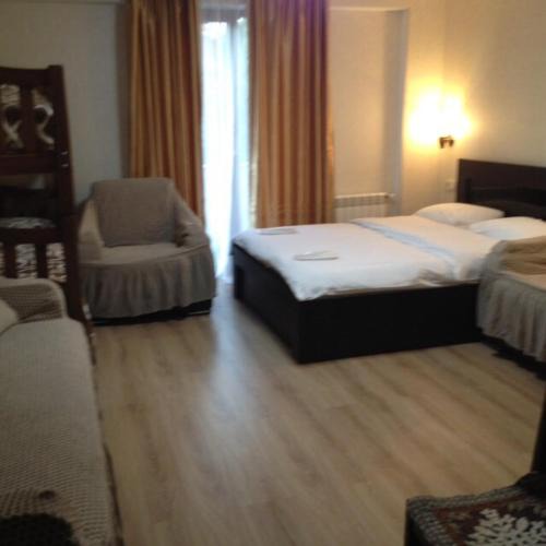 Bakuriani Hotel | David APT on Bakuriani Orbi Palace