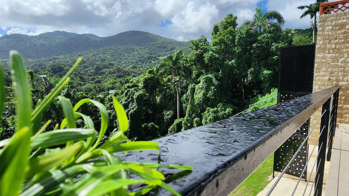 Rio Grande Apartment | David-Colinas del Yunque*Paraiso Escondido*NEW