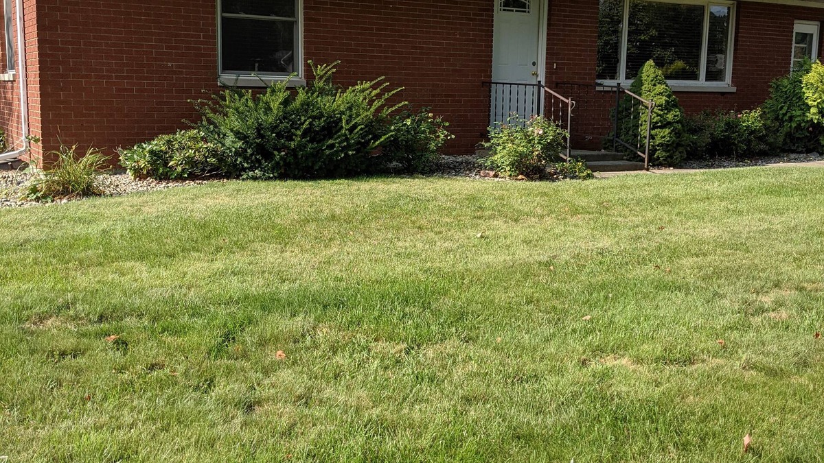 Shipshewana House | Davis Street Shipshewana