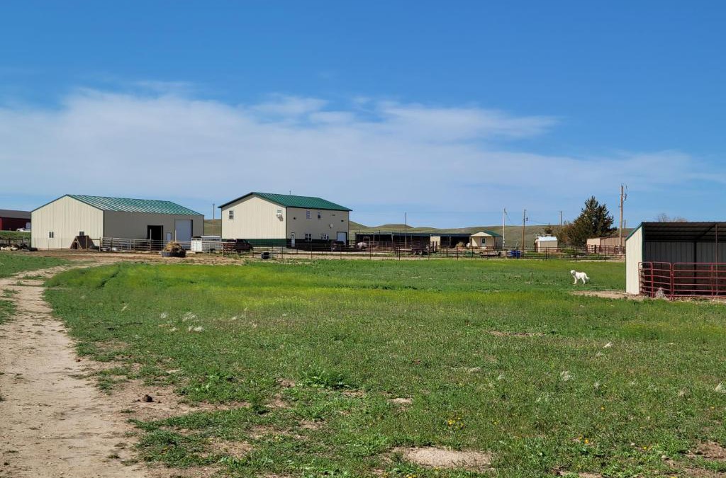 Lingle House | Daydreamers Guest Ranch Suite