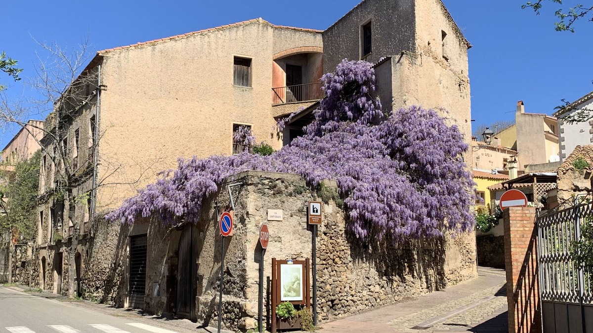Laconi House | De Ajala - Family B&B de Charme