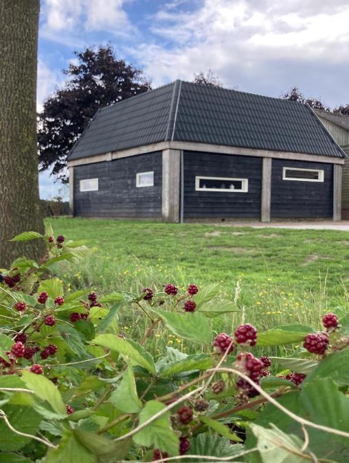 Nieuwleusen House | De Barg