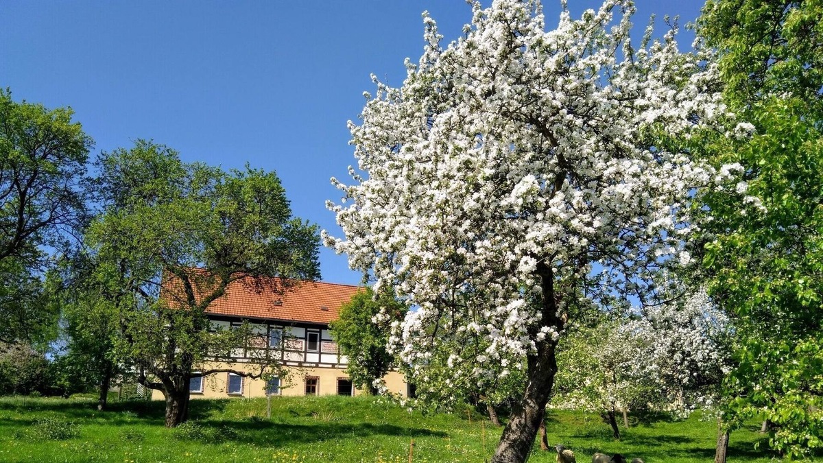 Waschleithe Apartment | Vrbo Property