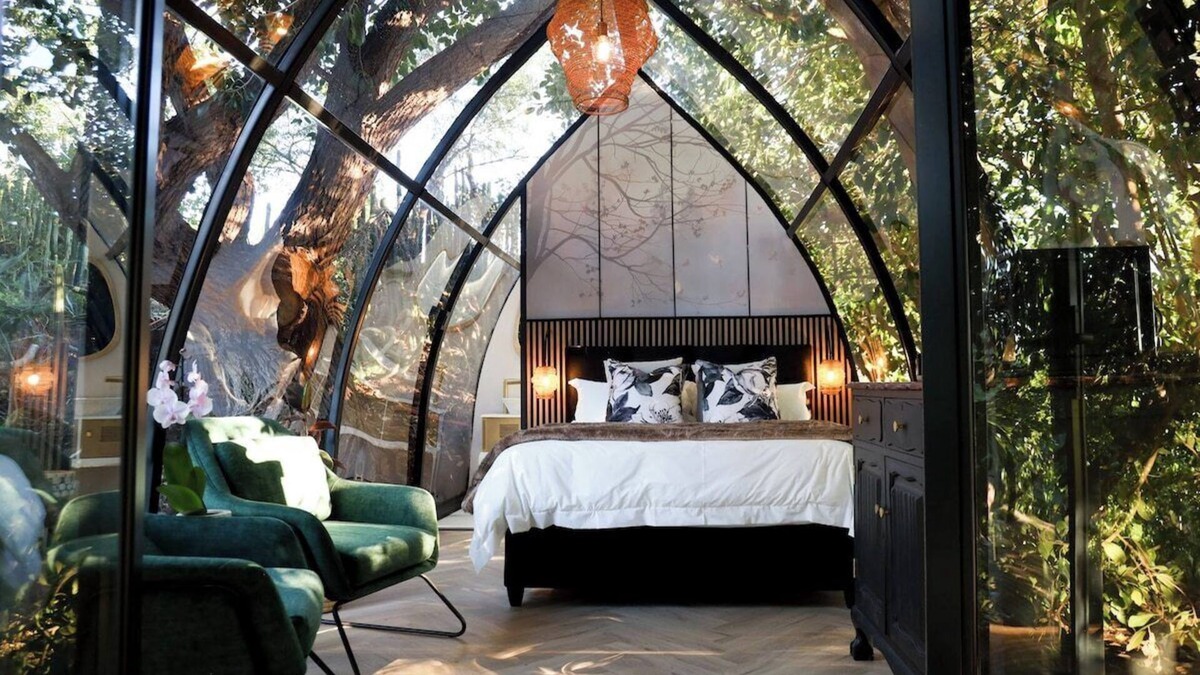 Montagu Apartment | De Nest - Clear glass Tree cabin in Montagu