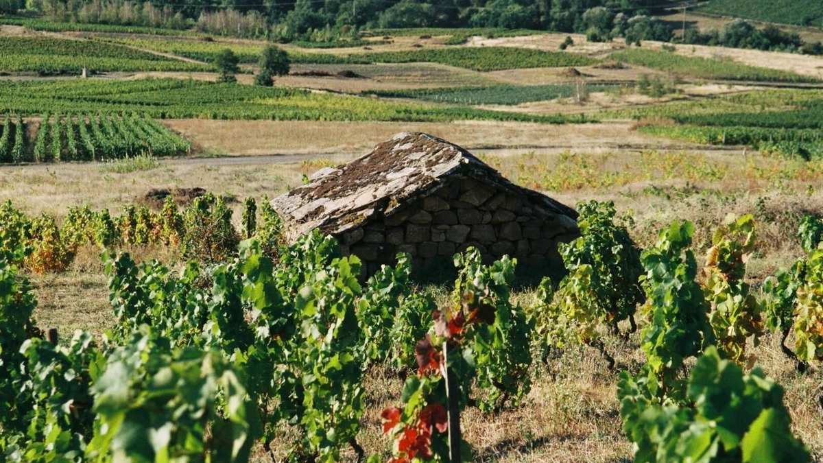 Chaintre House | De Pierre et de Vigne