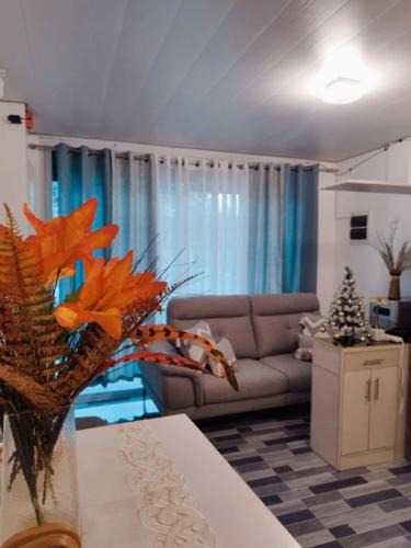 Cogon House | De Richness