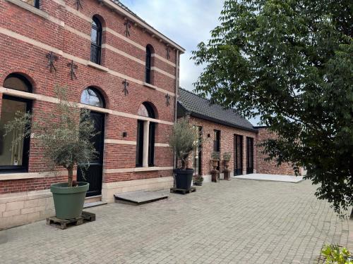 Mol Bed & Breakfast | De Wilden Ezel