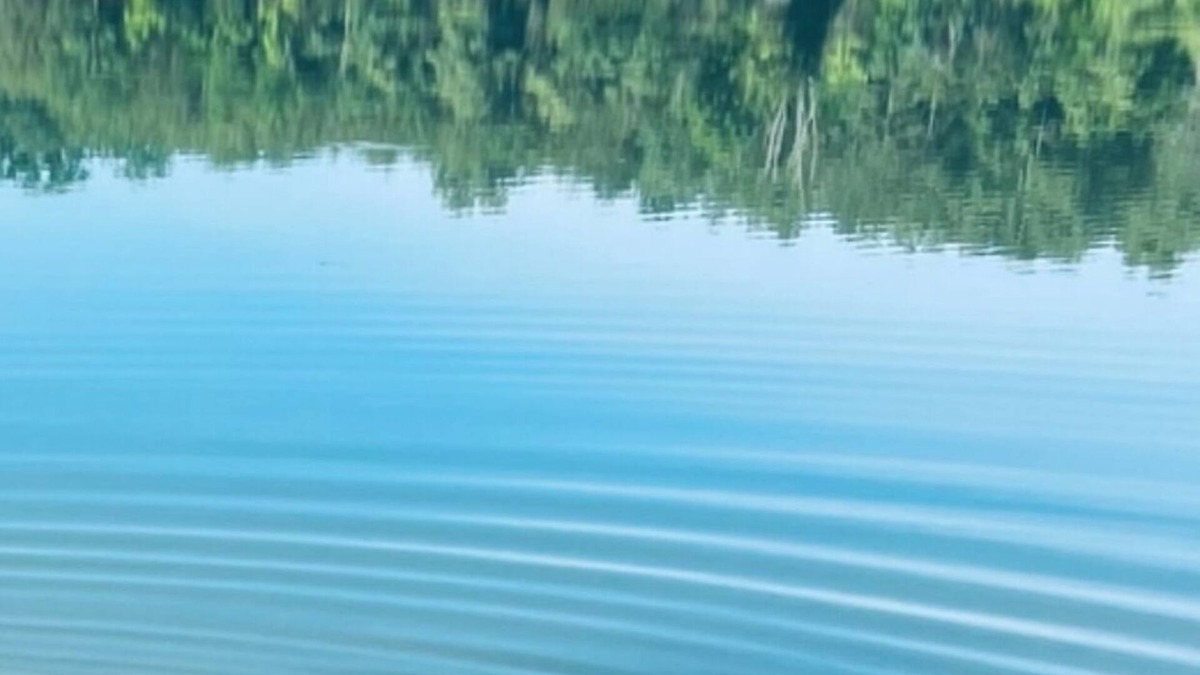 Dandridge House | DearBear Landing in the Smokies - Lakefront - Fish-Kayak - near Dollywood !