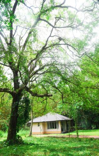 Pannala Villa | Debaraliyadda Estate