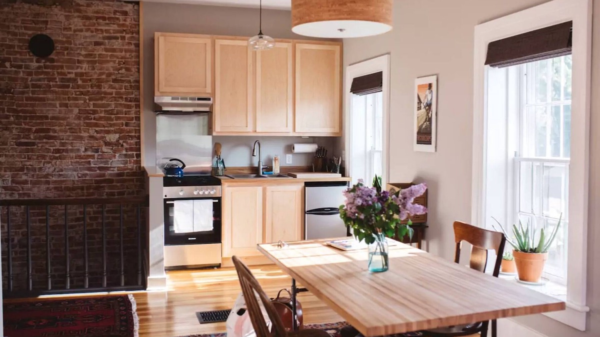 Decorah Apartment | Decorah House- Airy, modern, full of natural light, 5 blocks to downtown